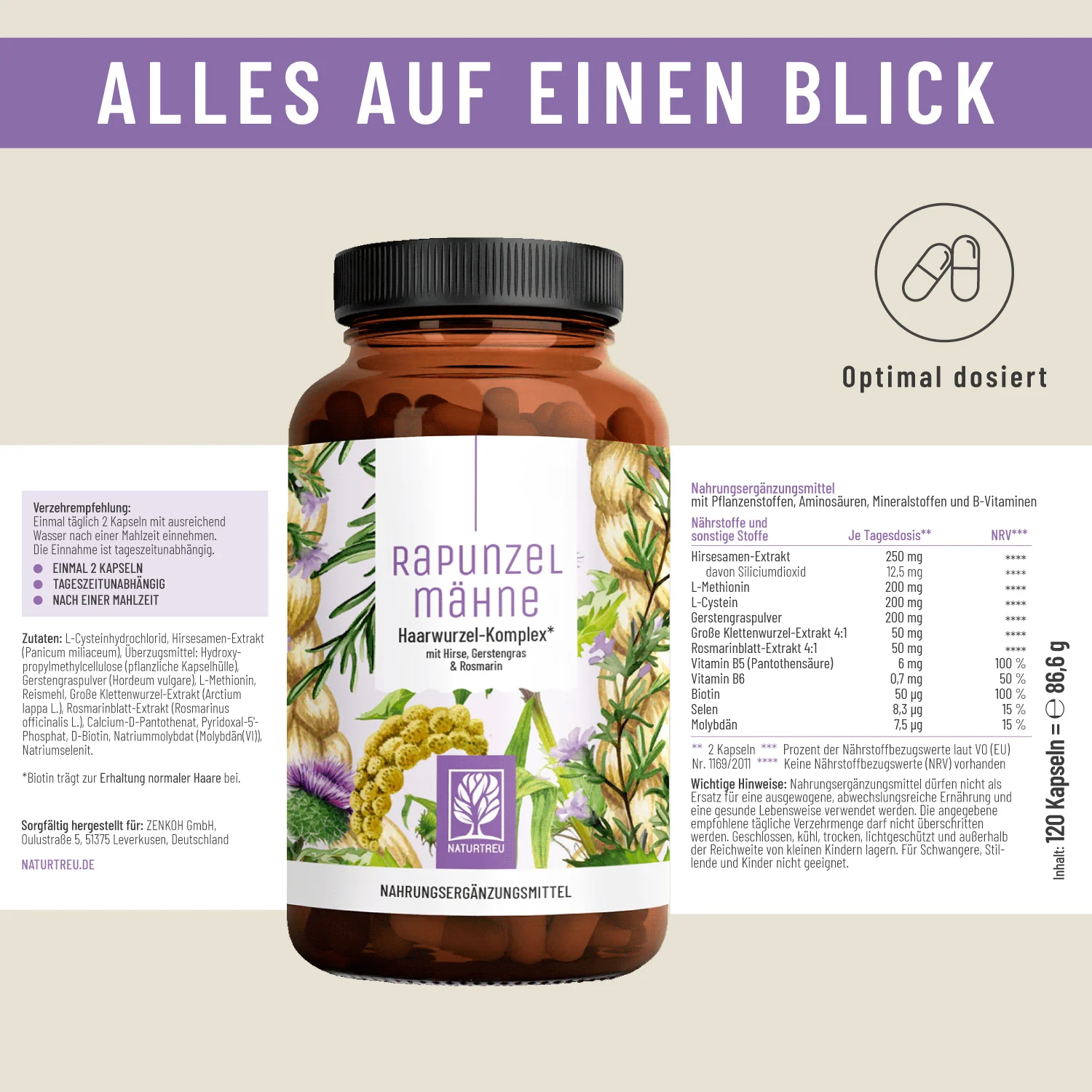 Vorschaubild 10