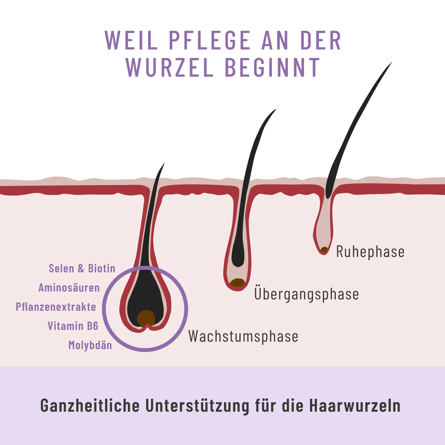 Vorschaubild 7