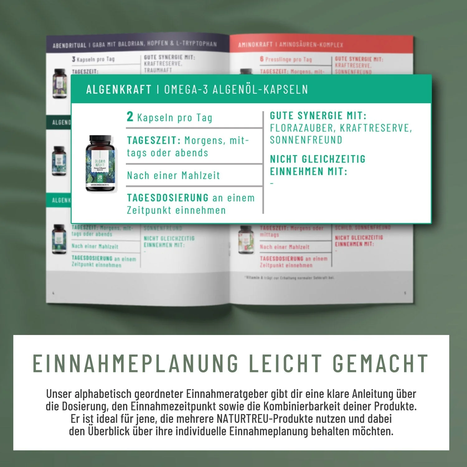 Vorschaubild 7