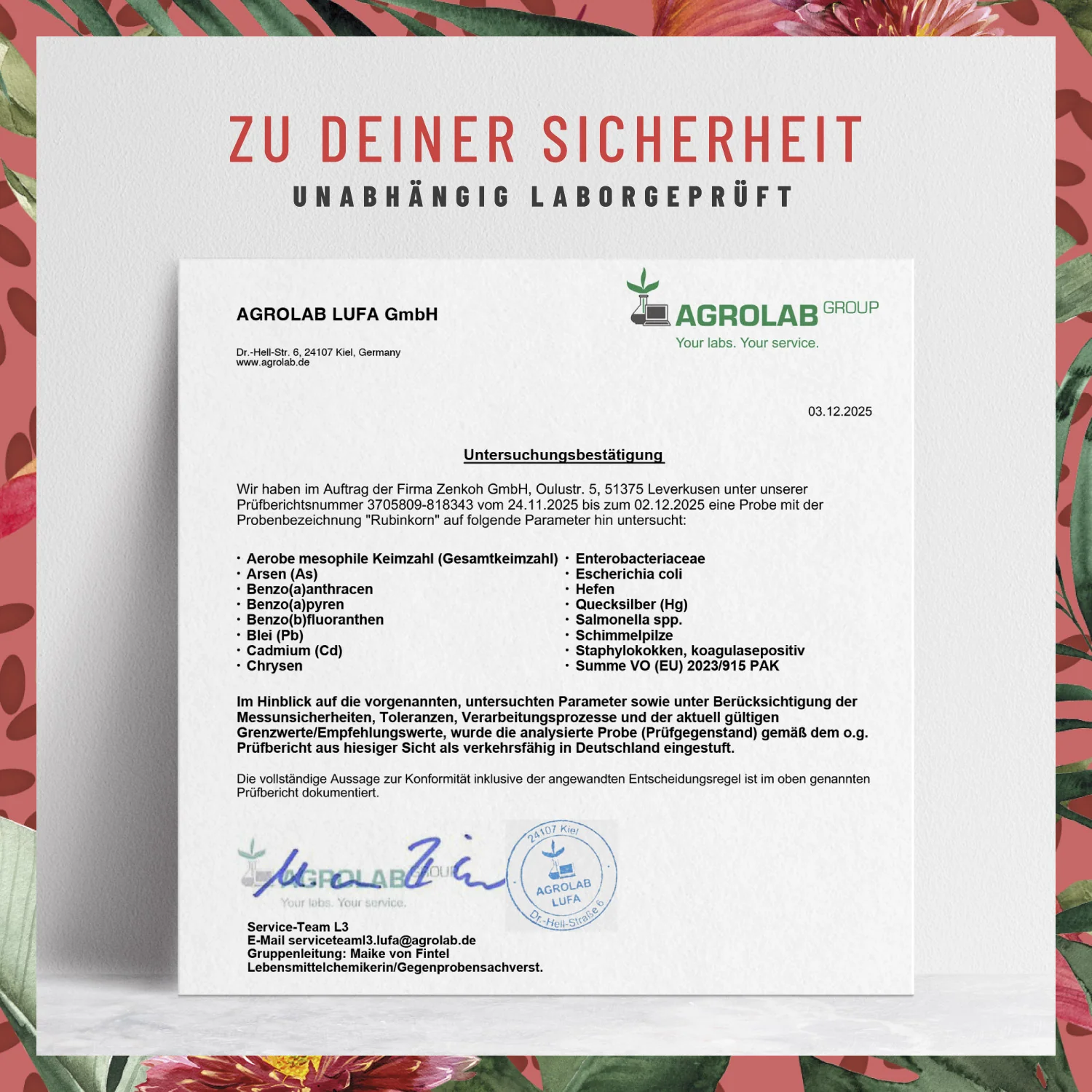 Vorschaubild 8