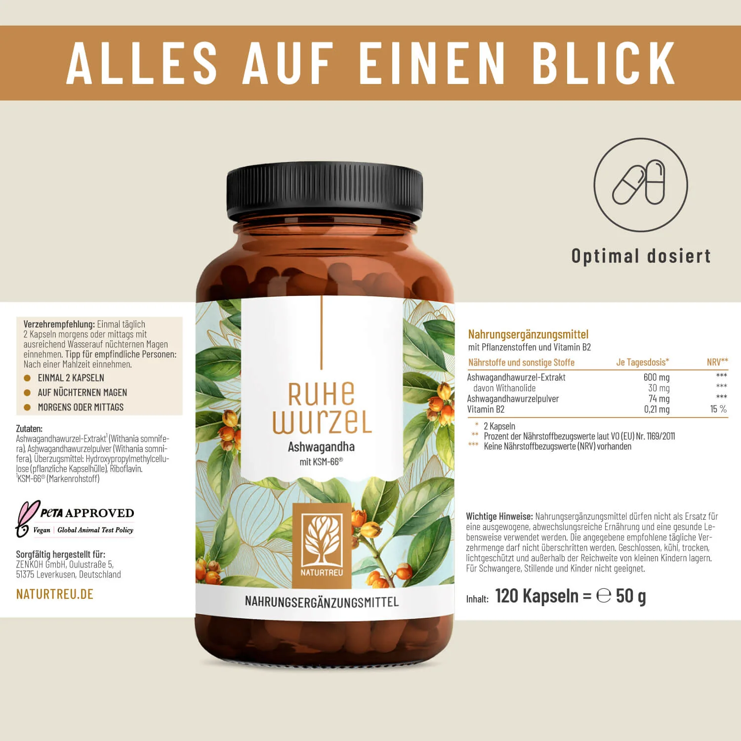 Vorschaubild 11