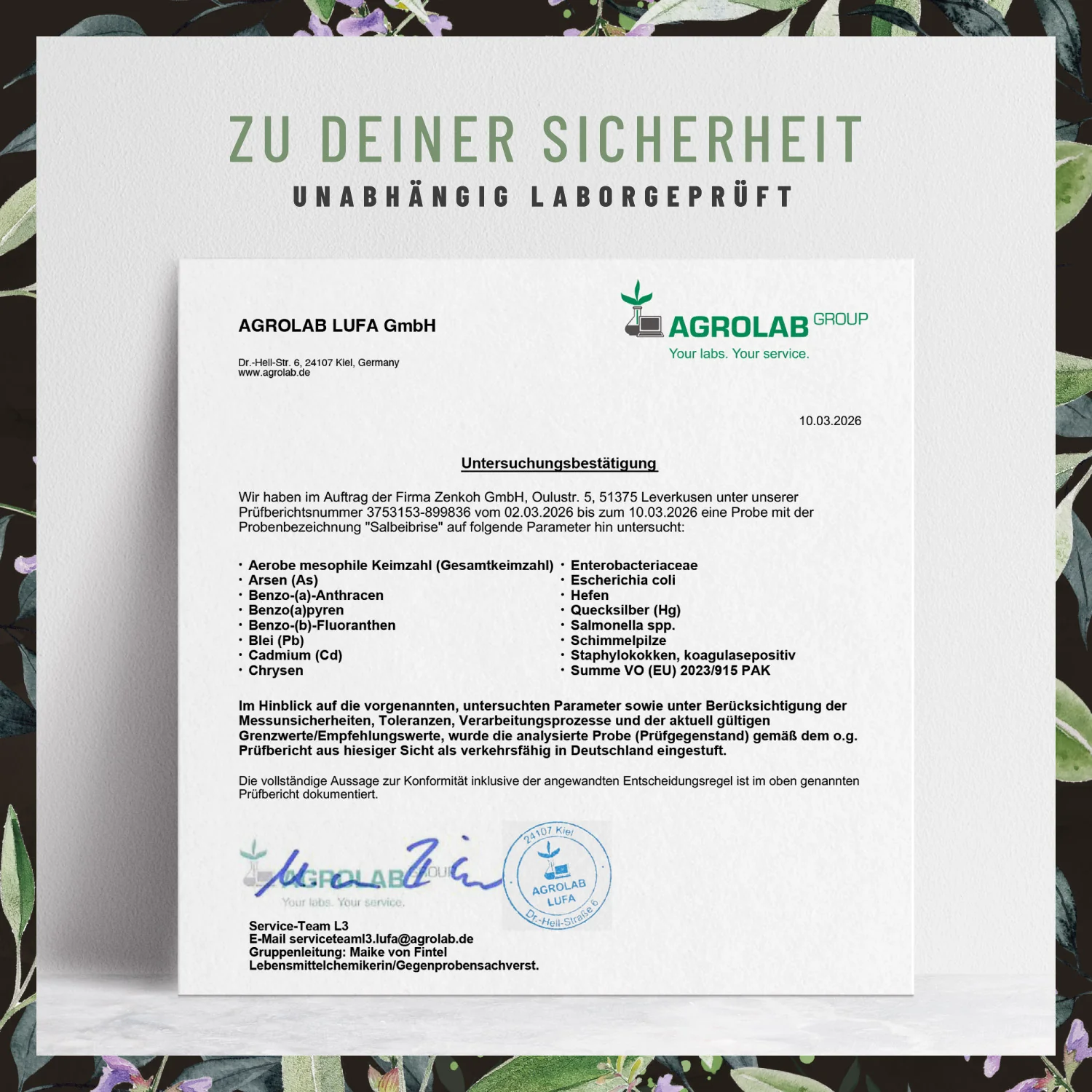 Vorschaubild 8