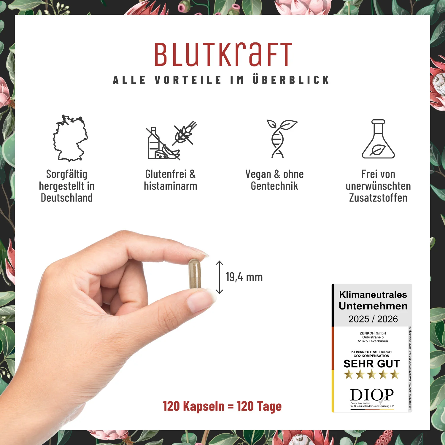Vorschaubild 7