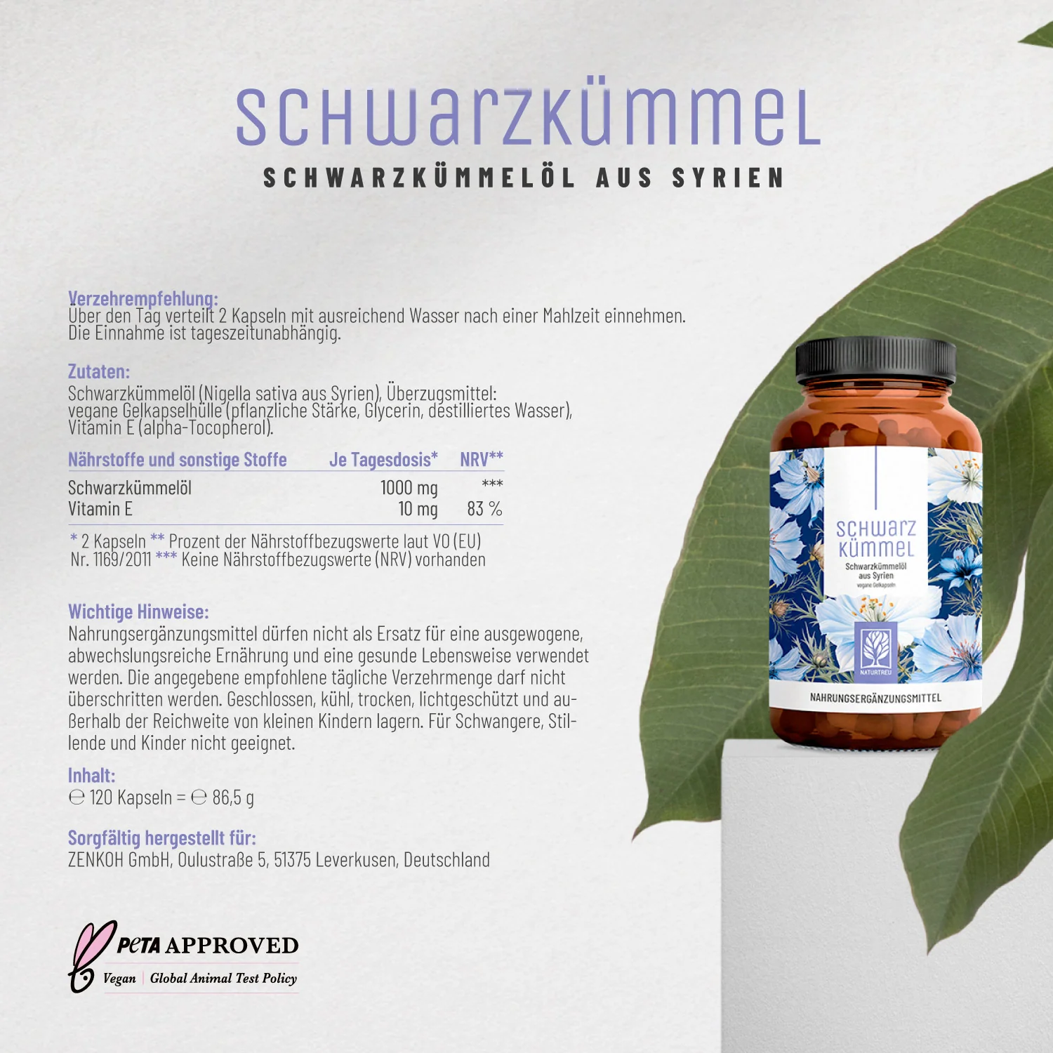 Vorschaubild 11
