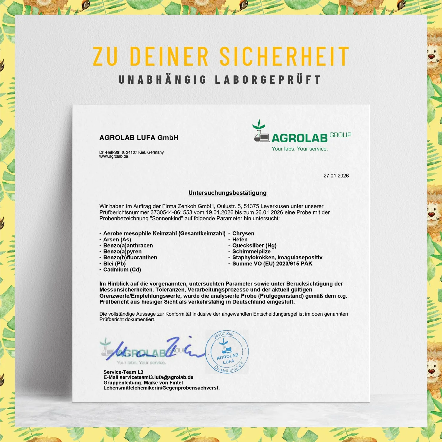 Vorschaubild 8