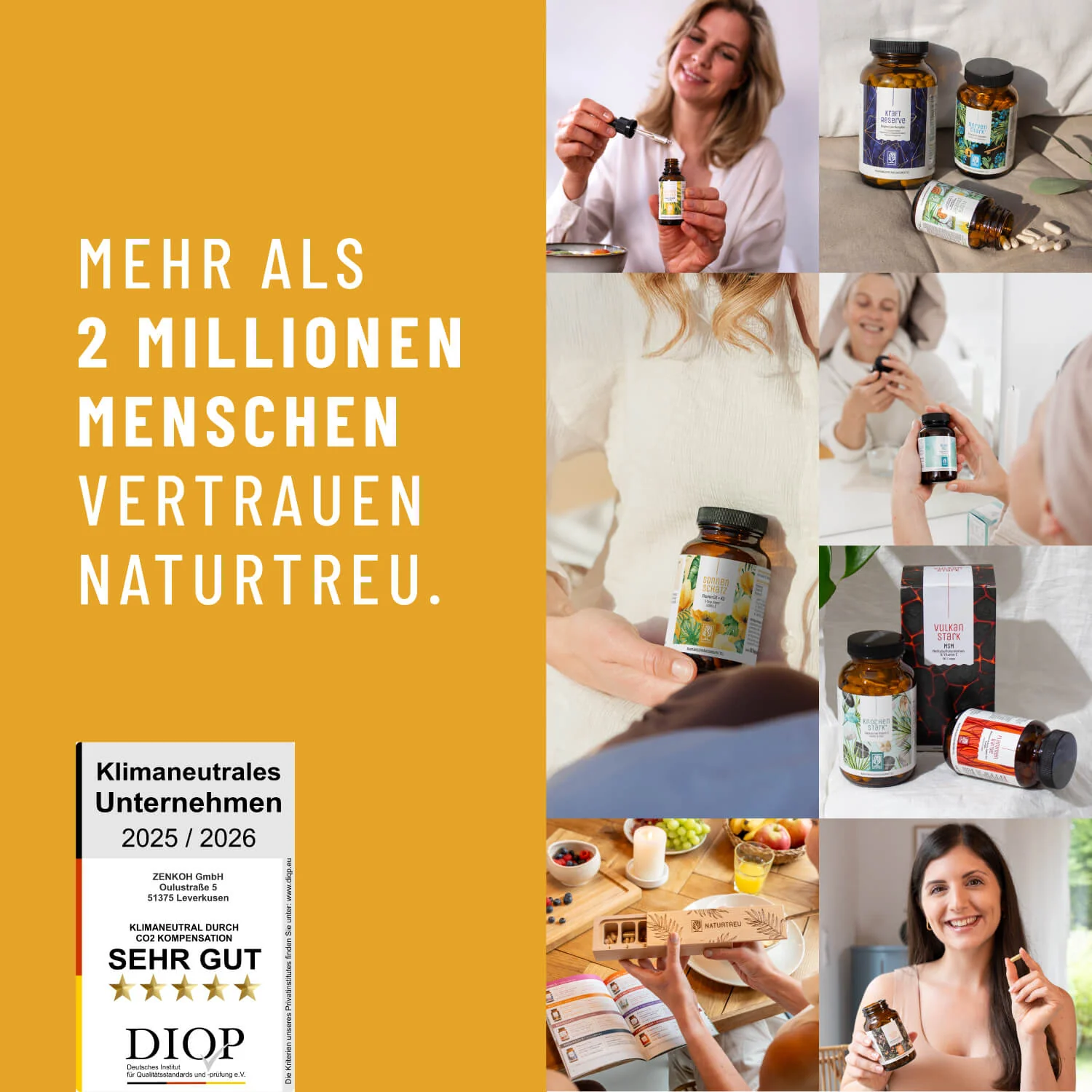 Vorschaubild 11