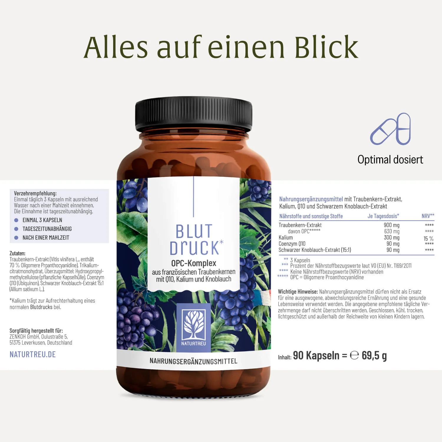 Vorschaubild 11