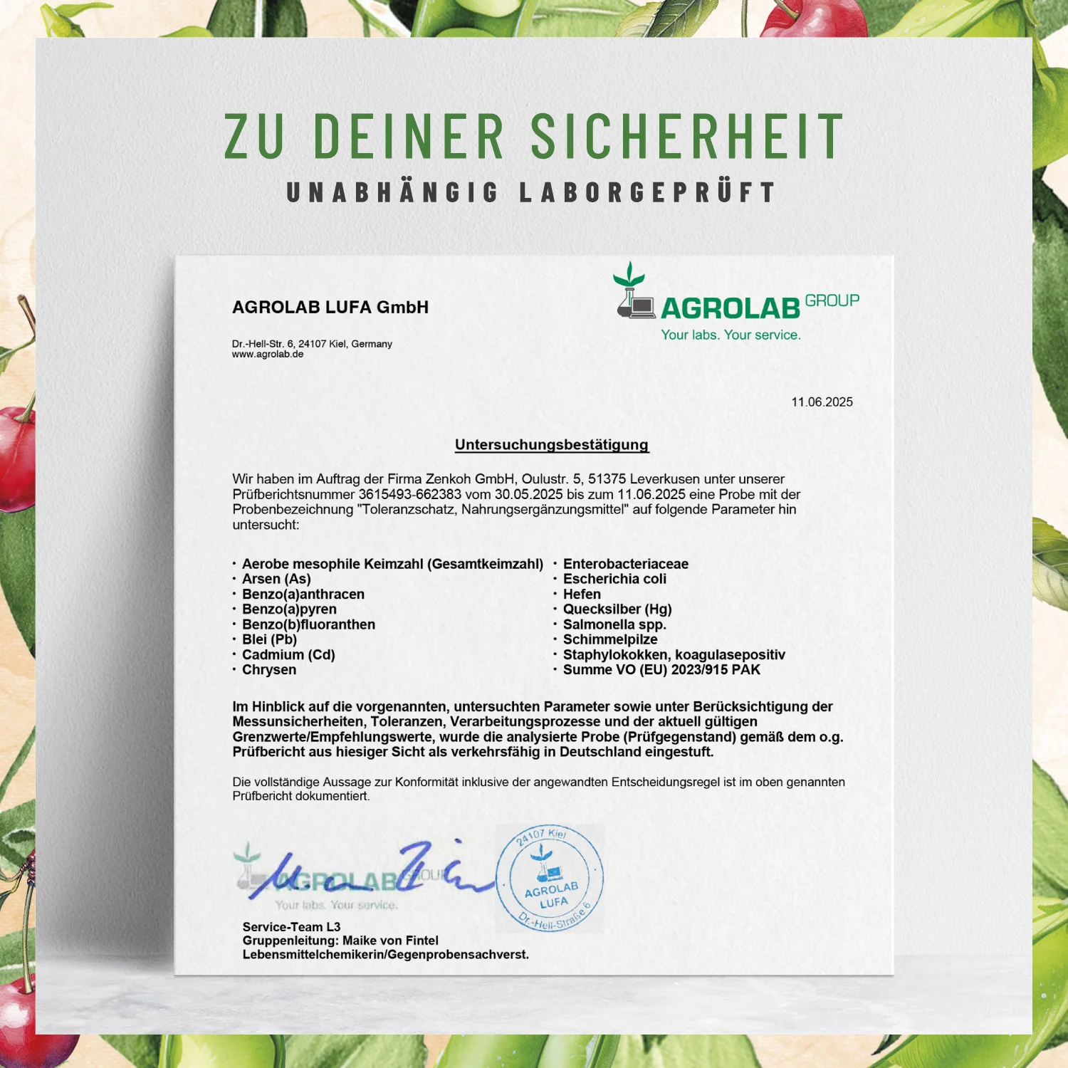 Vorschaubild 11