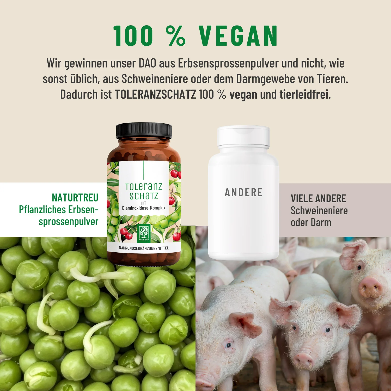 Vorschaubild 7