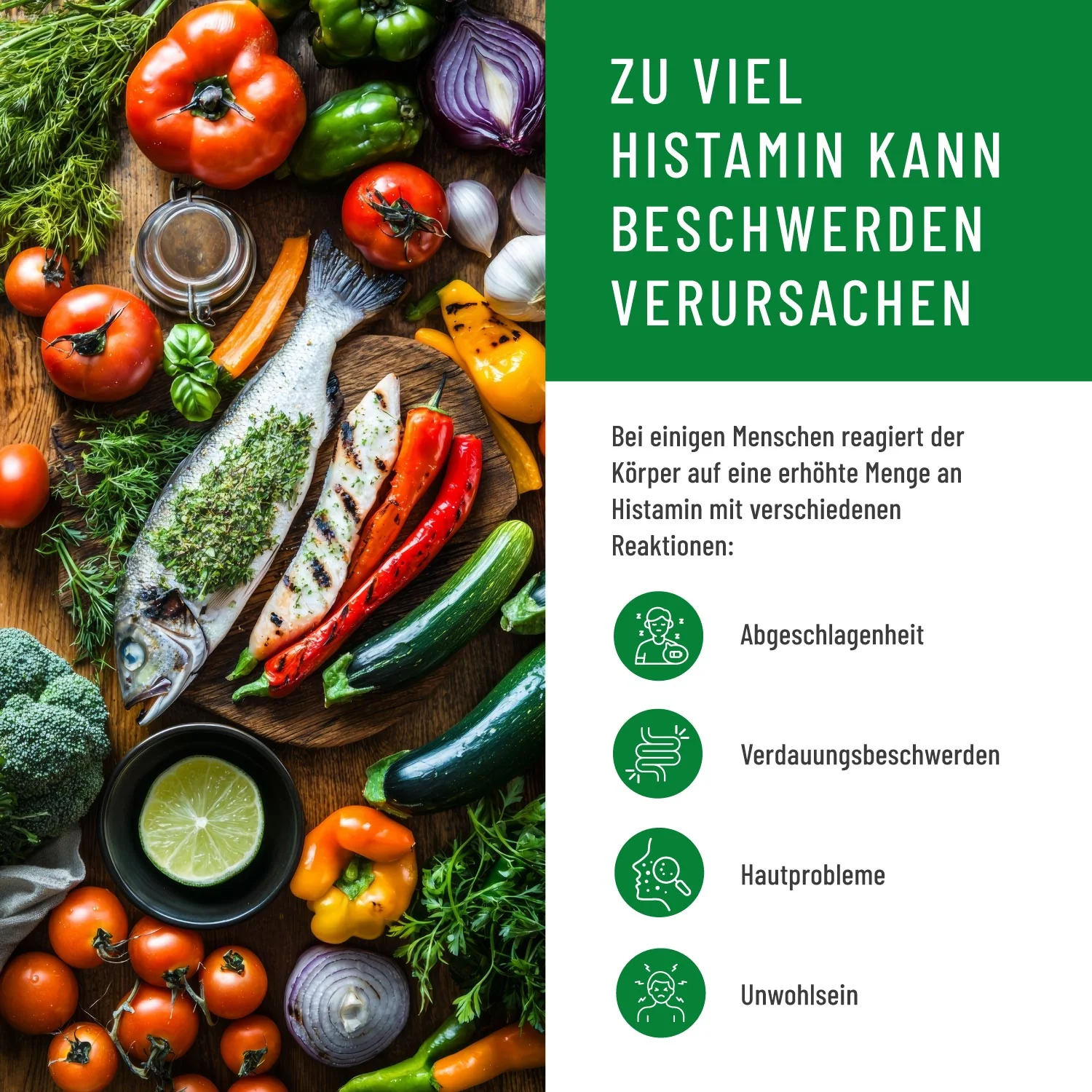 Vorschaubild 8