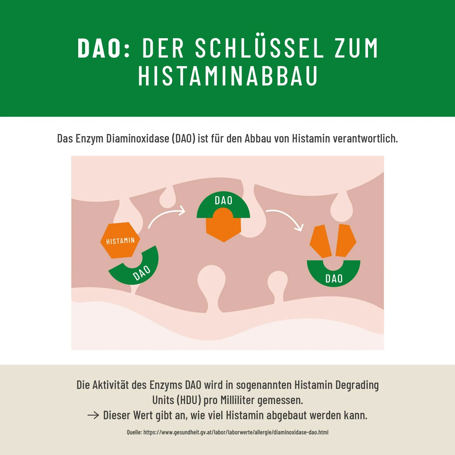 Vorschaubild 9