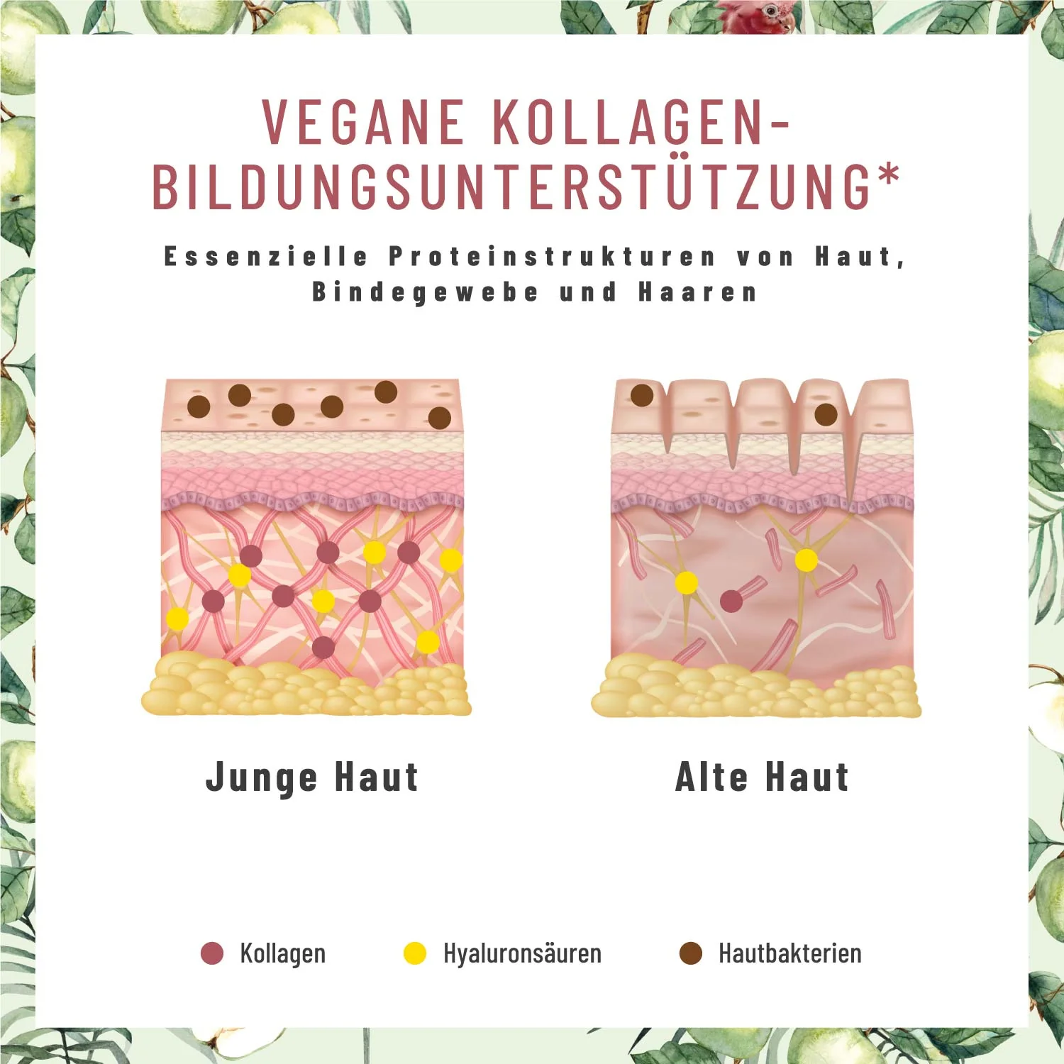 Vorschaubild 6