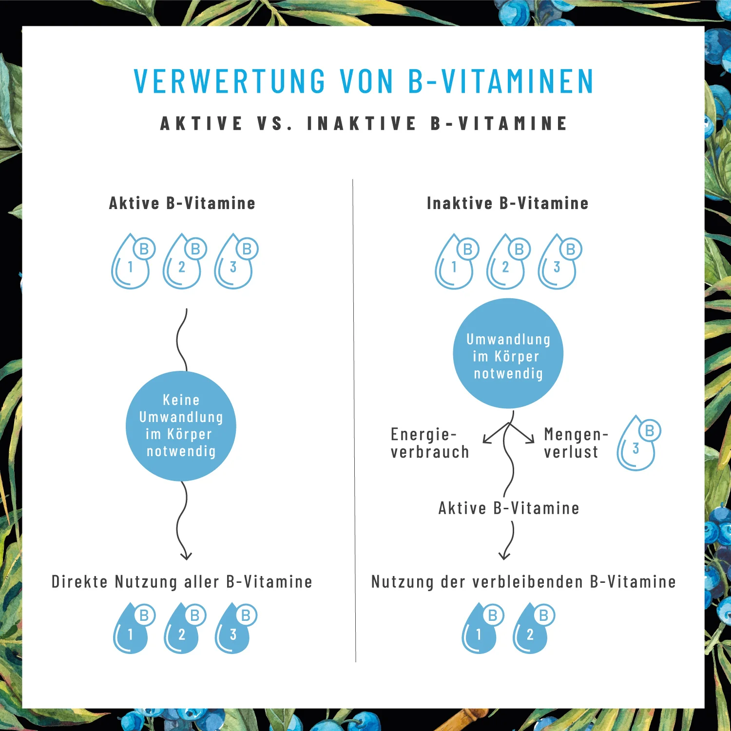 Vorschaubild 7