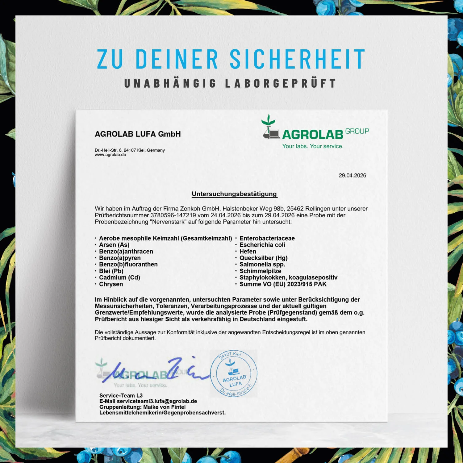 Vorschaubild 9