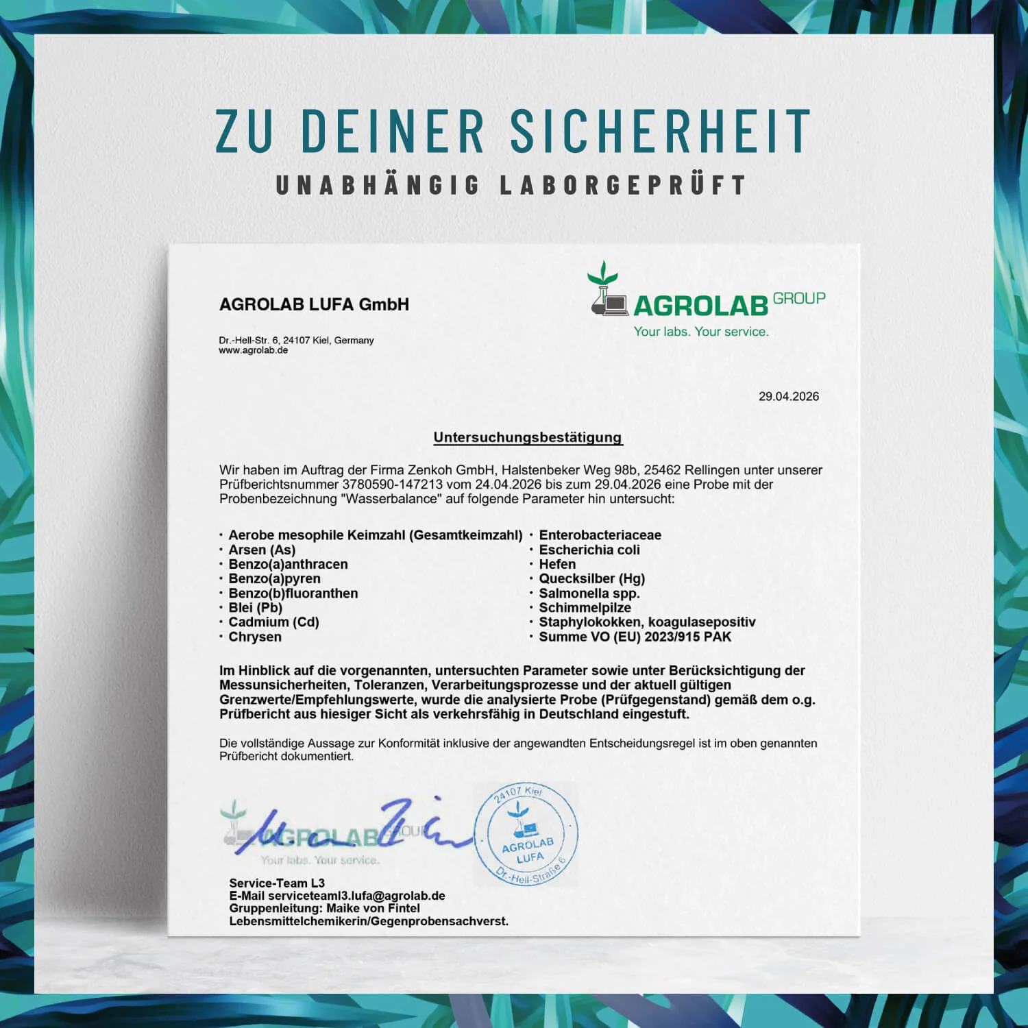 Vorschaubild 8