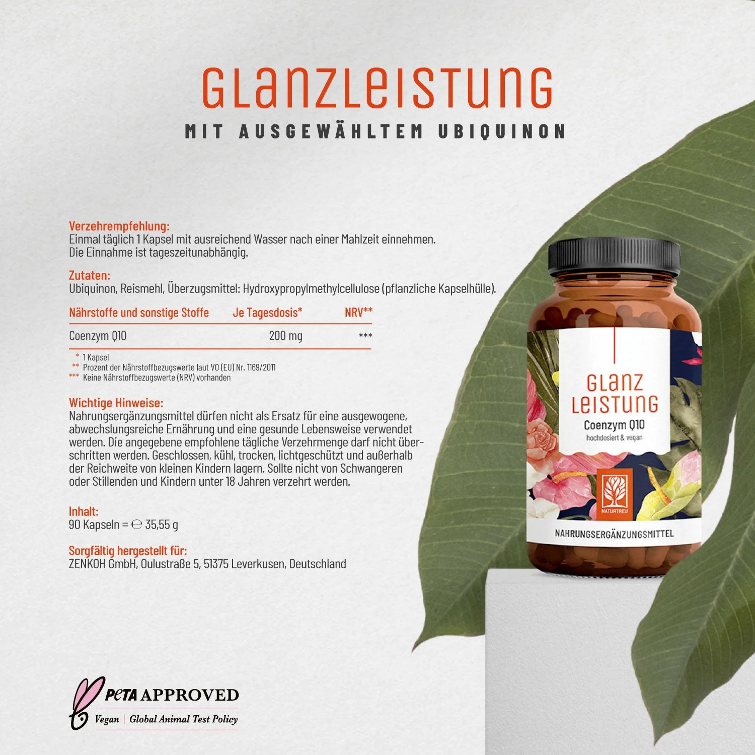 Vorschaubild 8
