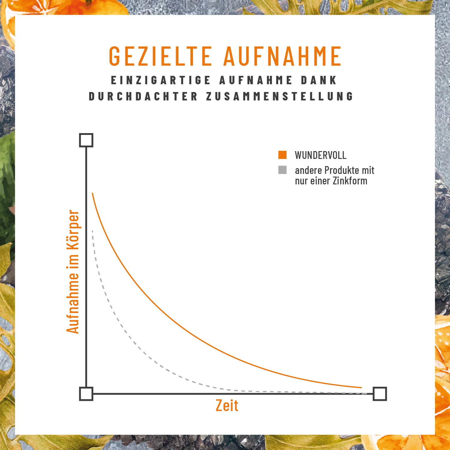 Vorschaubild 7