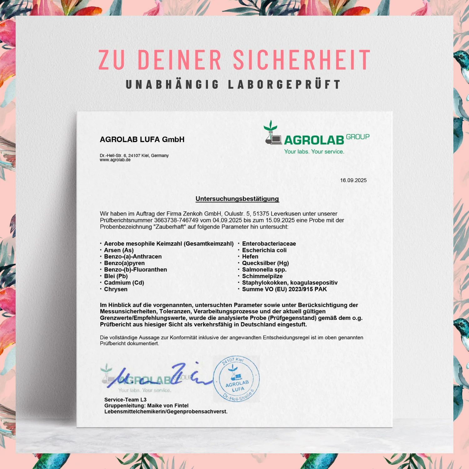 Vorschaubild 7