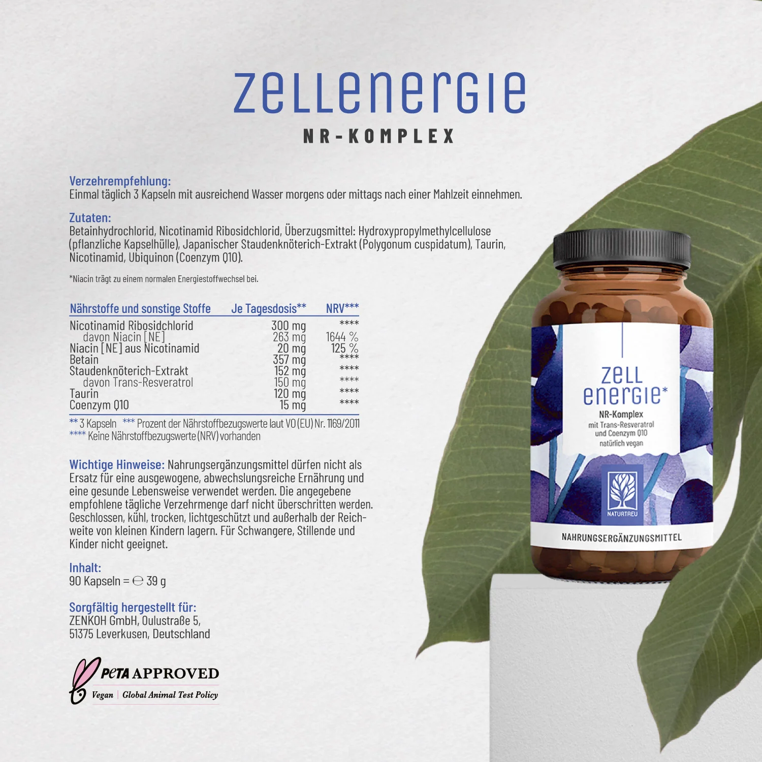 Vorschaubild 10