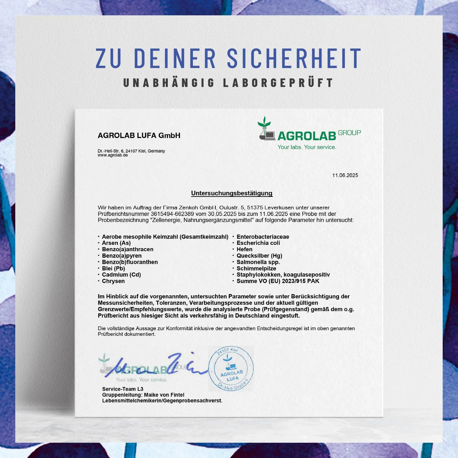 Vorschaubild 8