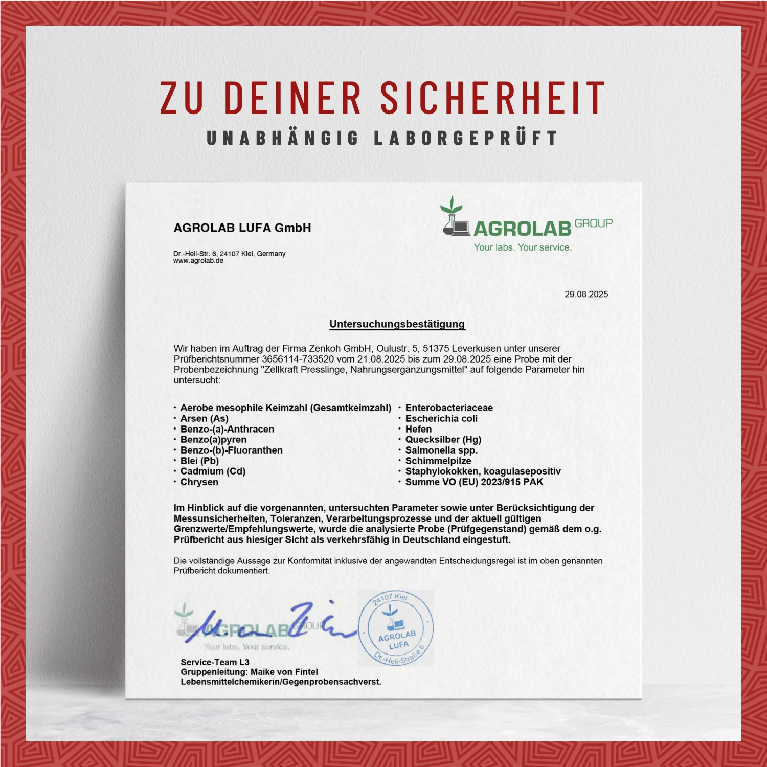 Vorschaubild 9